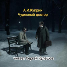 Чудесный доктор