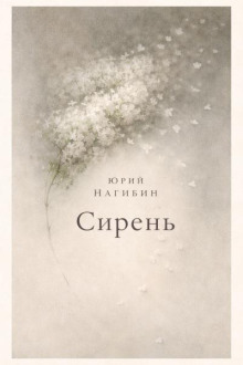 Сирень