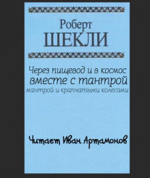 Через пищевод и в космос с тантрой, мантрой и крапчатыми колёсами