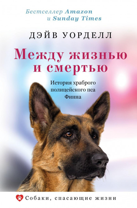 Finn to the Rescue: The Brave Police Dog