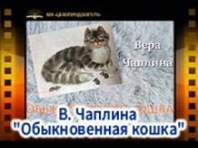 Обыкновенная кошка