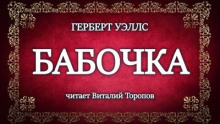 Бабочка