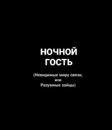 Ночной гость