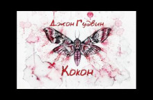 Кокон