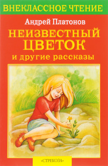 Неизвестный цветок