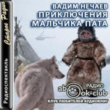 Приключения мальчика Пата