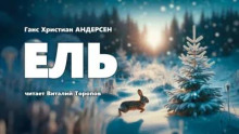Ель
