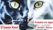 Кошка из ада
