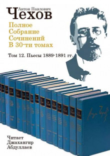Полное собрание сочинений в тридцати томах. Том 12