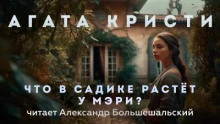 Что в садике растёт у Мэри?