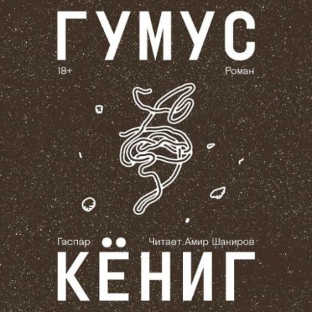 Гумус