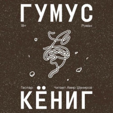 Гумус