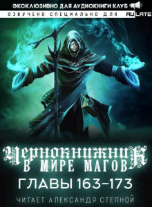 Чернокнижник в мире магов 4