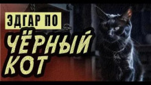 Черный кот