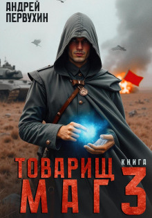 Товарищ маг. Книга третья