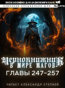 Чернокнижник в мире Магов 12