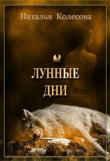 Лунные Дни