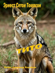 Тито