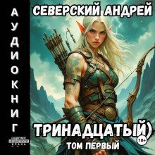 Тринадцатый. Том 1