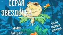 Серая звездочка
